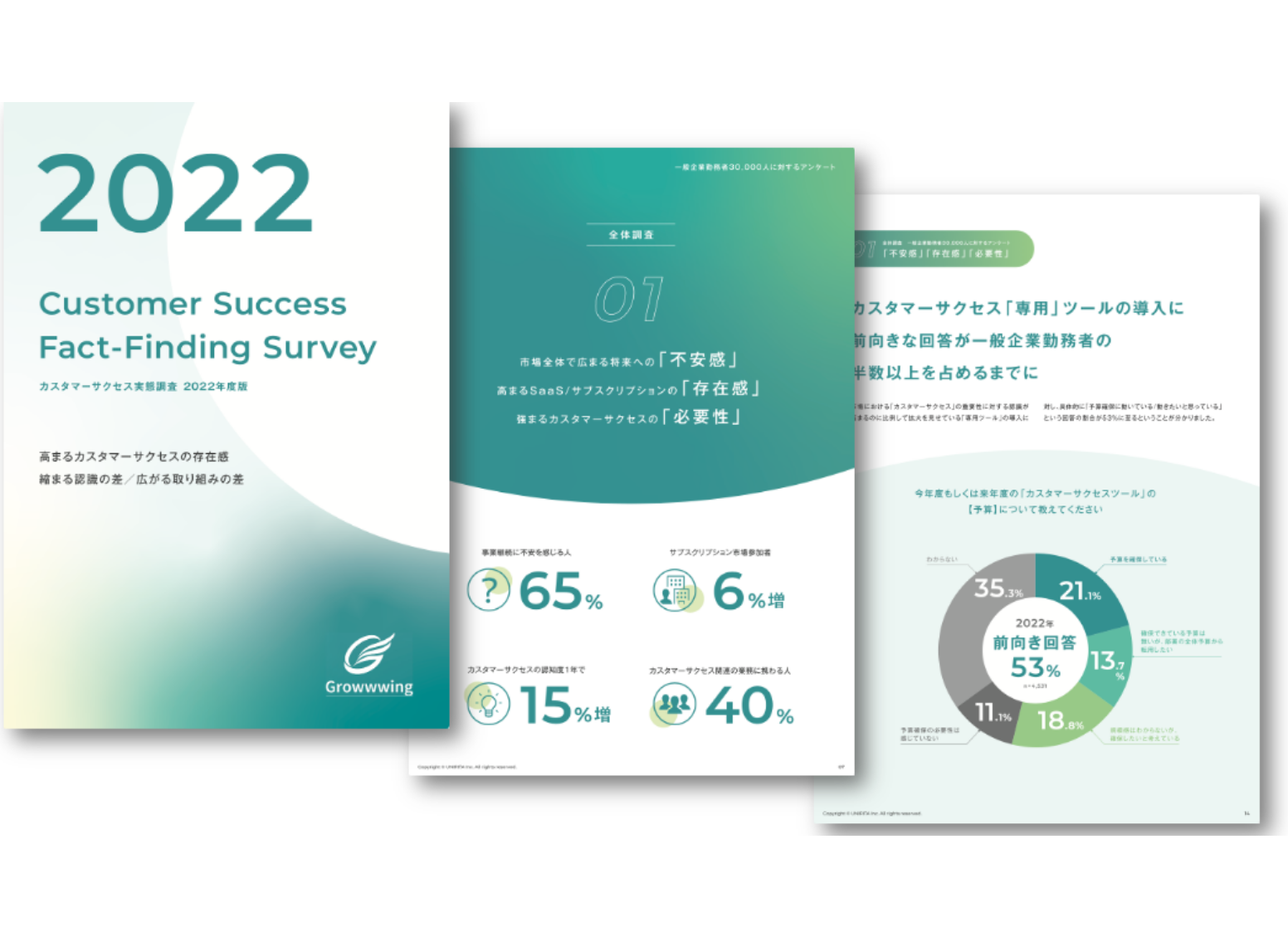 2022：カスタマーサクセス実態調査